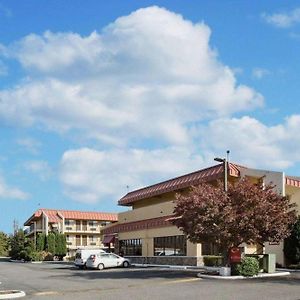 Morningglory Inn & Suites